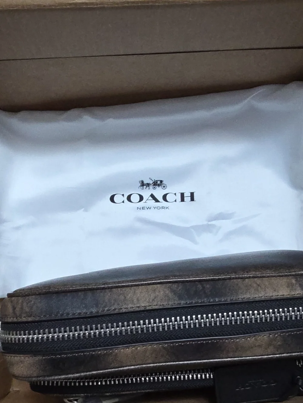 COACH Dakota CDS84 Loved Leather